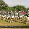 78 වන නිදහස් සැමරුම - සබරගමුව පළාත් උළෙල